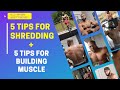5 TIPS FOR SHREDDING FAT + 5 TIPS FOR BUILDING MUSCLE | KELLY BROWN