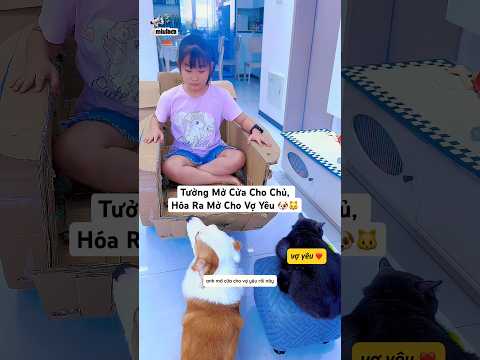 Bác Tài Chó Chiều Vợ Mèo 🐶❤️🐱
