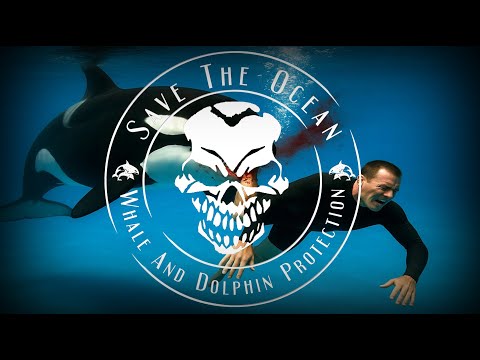 Orca Keto kills trainer Alexis Martínez – video reveals tragedy