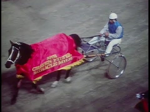 Harness Racing (Pure Steel-Ted Demmler & Russell Roberts)