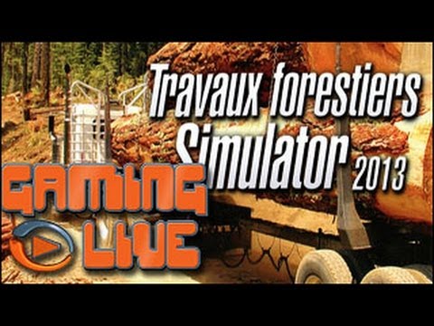 Travaux Forestiers Simulator 2013 PC