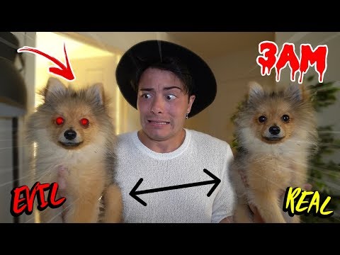 GIVING CLONE POTION TO MY PUPPY AT 3 AM CHALLENGE!! *EVIL TWIN*