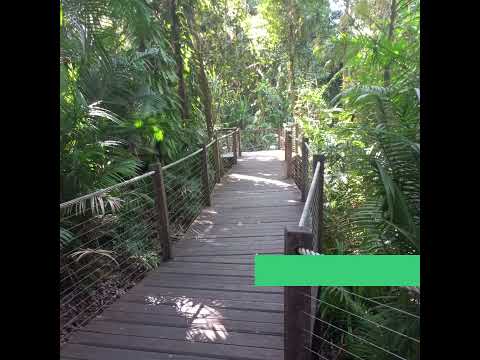 Trem Kuranda e Skyrail Cairns