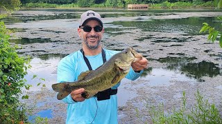 FROGIN' FROM SHORE-Topwater Frog Fishing-Popping Frog
