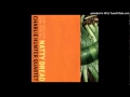 Charlie Hunter Quartet - No Woman No Cry
