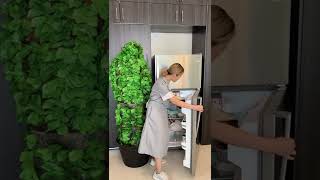 Bush man pranks maid #Shorts