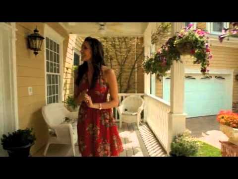 DENSI - The Beginning