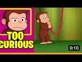 When Curious George Gets A Lil Too Curious