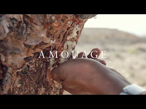AMOUAGE EXCEPTIONAL EXTRAITS