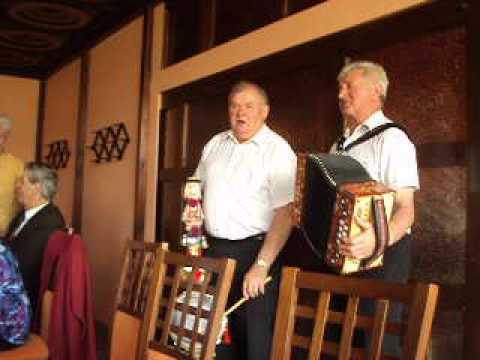 Siedzi mucha na scianie