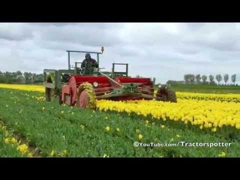 amazing vegetable on hydroponic and fruit farming system 27