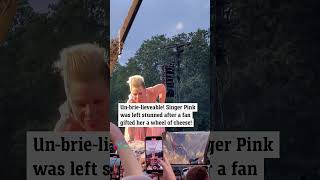 Download lagu Singer Pink gifted cheese mp3