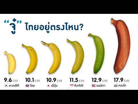 ฉันเพิ่มขึ้นสมาชิกดำเนินการ วางค้อนของ ธ อร์ Ivanovo