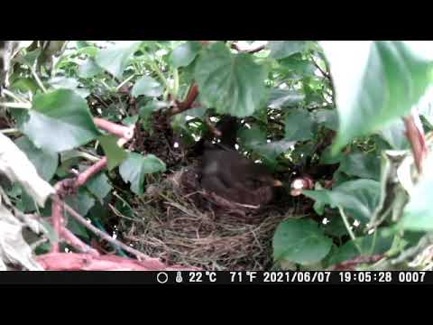 Doris & Dieter Drossel