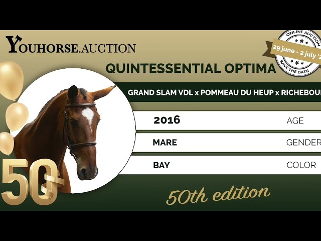Quintessential Optima hunter video