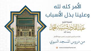 74 الأمر كله لله وعلينا بذل الأسباب - الشيخ عبدالقادر شيبة الحمد رحمه الله image