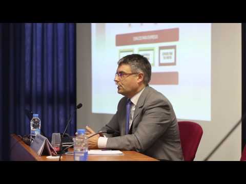 Ponencia Ram�n Ferrandis, Servicios de Apoyo Empresarial al Emprendimiento Cient�fico
