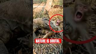 Download lagu Animal Moments That Will Leave You Speechless mp3