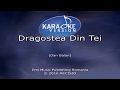 O-Zone - Dragostea Din Tei (Karaoke Version)