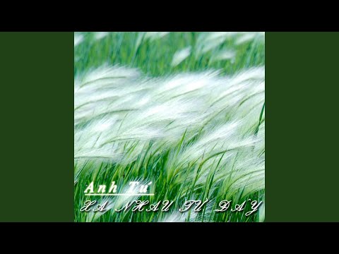 Xa nhau từ đấy (Giấc mơ vội tan - Yêu mãi - Tình vô tận - Ngoi bat jyun - 愛不完) - Anh Tú