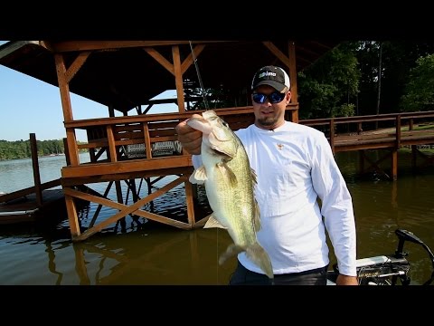 Late Summer Dock Fishing for Bass