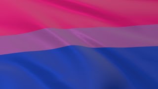 Bisexual Pride Flag waving in the wind - Flag animation - 4K UHD