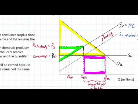 Protectionist Subsidies and Evaluating Protectionism