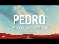 PEDRO - Jaxomy, Agatino Romero, Raffaella Carrà (TikTok/Lyrics)