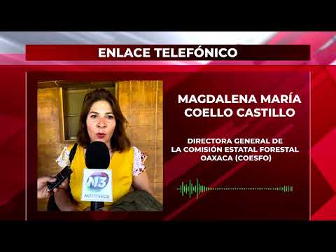 Se reportaron 7 incendios activos en Oaxaca; en Chimalapas