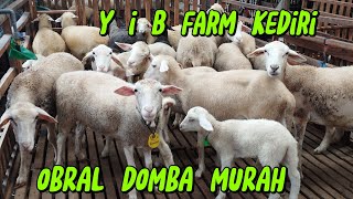 Download lagu JUAL BUNTINGAN PAKAI JANTAN DOPER FB HARGA SANGAT MURAH Wa 081212123362 manyaran banyakan kediri mp3 Download lagu JUAL BUNTINGAN PAKAI JANTAN DOPER FB HARGA SANGAT MURAH Wa 081212123362 manyaran banyakan kediri mp3