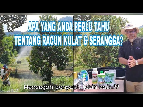 , title : '#3 Racun Kulat & Racun Serangga bagi Pokok Durian |'
