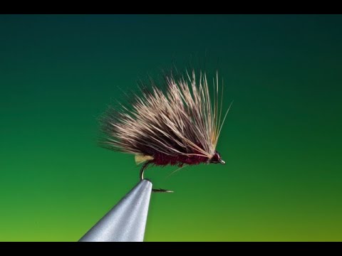Tying a Hot Spot sedgehog with Barry Ord Clarke