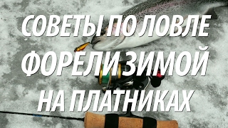 Снасти для ловли на платнике