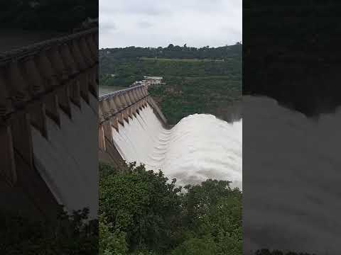 Srisailam Dam 10 Gates Lifted | #srisailam #waterfall #weekend  #getaway #trip #shorts