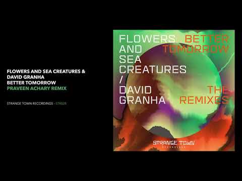 Flowers and Sea Creatures, David Granha - Better Tomorrow (Praveen Achary Remix)