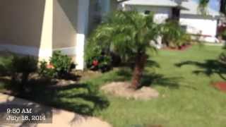 How to Stop Charging the Front Door - Dog Training of Fort Myers - Patrick Logue