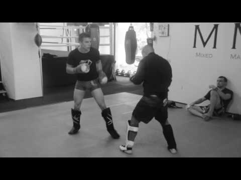 Kampfsportakademie Bars Stuttgart - Europameisterschaft Vorbereitung