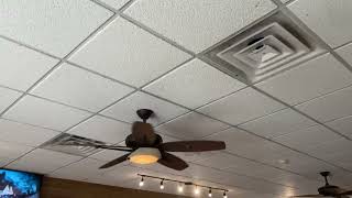 Minka Aire Calibrea Ceiling Fans in a Cafe