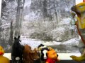 Eeyore S Rescue