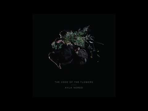 Ayla Nereo - The Course