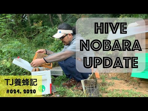 , title : '分蜂群のばらアップデート 9月（Hive Nobara Update）'