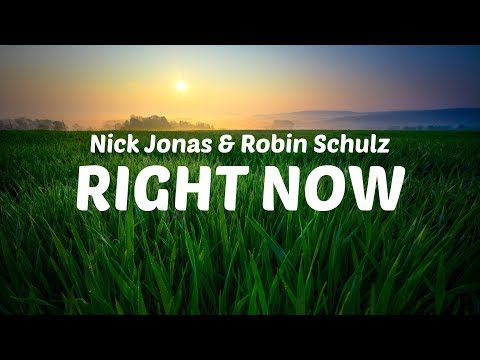 Nick Jonas, Robin Schulz - Right Now [LYRIC VIDEO]