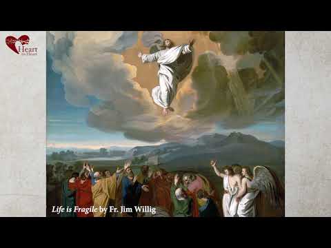 Gospel Study - Life is Fragile (John 17:11B-19)