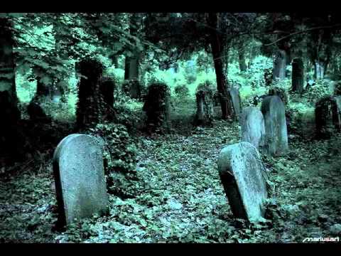 Ismerős arcok:Nem látlak én téged többé