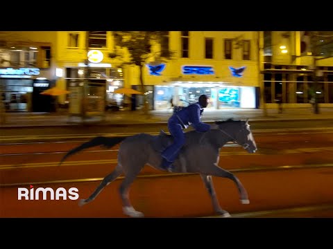 Miniatura de BABY NUEVA