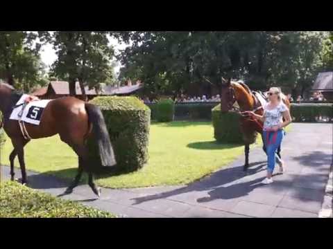 Dostihy Bratislava 31.07.2016