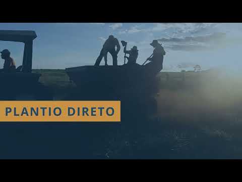 Projeto Águas Cerratenses: semear para brotar – conservação e restauração no Cerrado