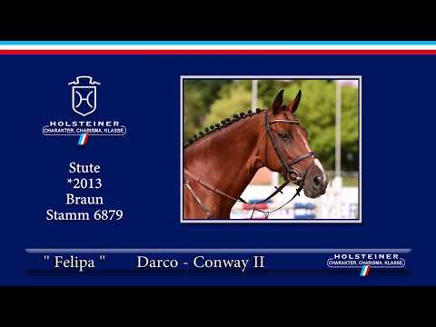 Holsteiner Elite-Reitpferdeauktion 2019 | Nr. 129 - Felipa v. Darco-Conway II