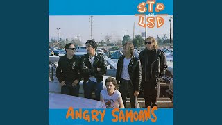Music video thumbnail preview for Staring at the Sun by Angry Samoans