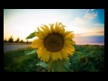 Baby Woodrose - Right To Get High 